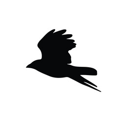 Silhouette of a bird in flight isolated on white background, perfect for concepts of freedom, nature, wildlife, minimal design, logo inspiration, migration, independence and calm.