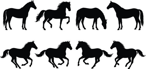 Horse Silhouettes Set, Running, Standing, and Grazing Equine Animals Vector Collection