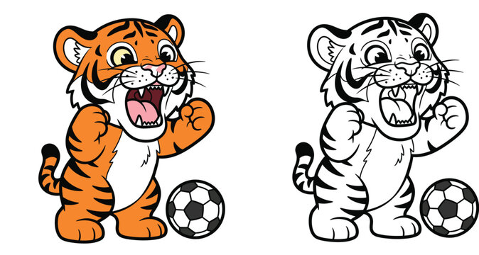 Cute cartoon tiger cub playing soccer and roaring vector illustration with black and white outline for coloring book page