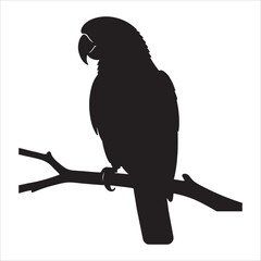 Fototapeta premium Black silhouette of a parrot perched on a branch bird white