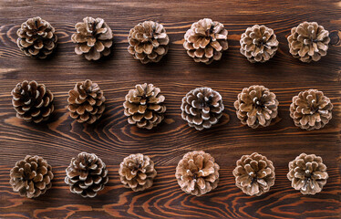 A lot of large cones of royal pine on a dark wooden board. Flat lay, top view.