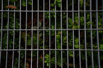 A close-up photograph of a metal grate with green plants growing through the slats. The metal is grey, and the plants are lush and vibrant.