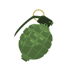 Obraz premium Grenade vector image, grenade icon, grenade clip art, isolated on white background