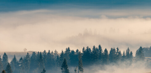 Majestic autumn scenery of Carpathian mountain range at early morning sunrise. Beautiful white fog in the valley. wide angle panorama.
