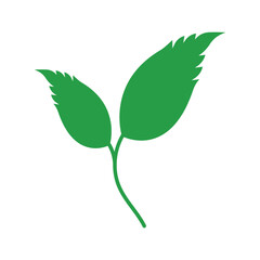Green leaf logo design