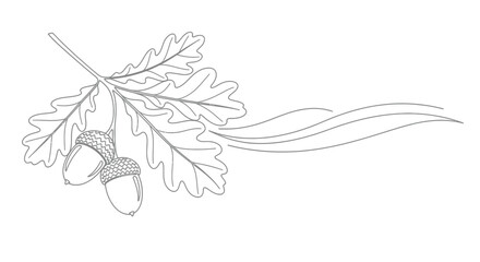 Elegant outline of oak leaves and acorns with flowing decorative lines © Line Home