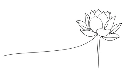 Elegant single line drawing of a blooming lotus flower with a long flowing stem on a white background © Line Home