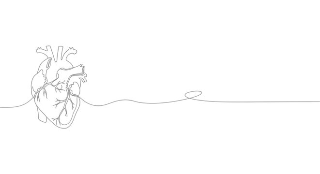 Minimalist continuous line drawing of a human heart with a flowing line extending to the right on a white background