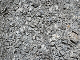 Fototapeta premium stone wall texture