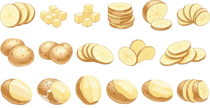 Potato cutting styles illustration showing slices, cubes, halves, peeled potatoes, and whole tubers on white