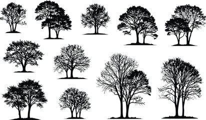 Fototapeta premium Collection of highly detailed silhouettes showing variety of deciduous trees without leaves branches and trunks