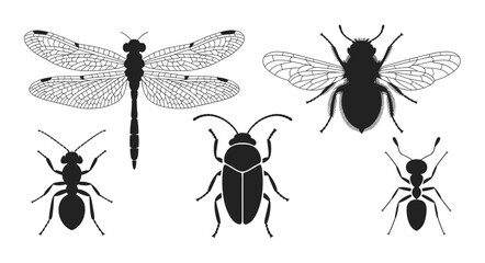A collection of black insect silhouettes featuring a dragonfly, a bee, two ants, and a beetle against a white background