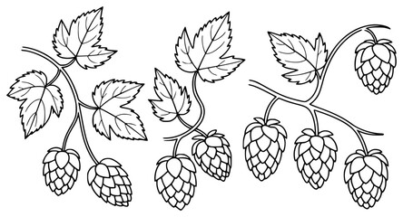 Fototapeta premium Black and White Illustration of Hops Branches with Leaves and Cones