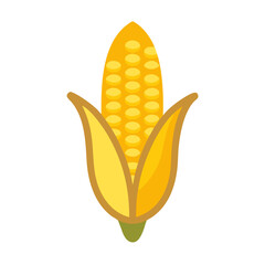 Vibrant corn on the cob illustration against white background