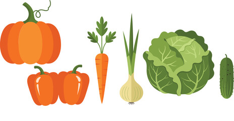 Fresh illustrated vegetables set with pumpkin, peppers, carrot, onion, cabbage, and cucumber in clean flat style