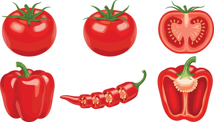 Fresh red vegetables illustration set with tomatoes, bell pepper, chili pepper, and cross-section seed details