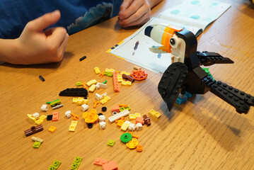 Obraz premium Child building a Lego toucan with instructions on a wooden table