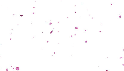 Falling pink rose petals png Isolated on Transparent Background. Pink rose petals falling, Scattered pink rose petals, ideal for wedding, valentine's day or beauty projects