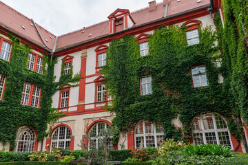Historic building exterior with ivy-covered walls and arched windows. Ossoliński National Institute