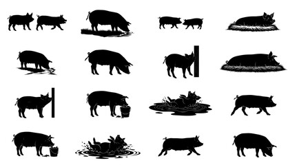 swine song a graphic ensemble of pastoral rhythms and barnyard life set, isolated on transparent background