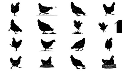 simple rhythms of the coop a graphic collection of hen silhouettes, isolated on transparent background