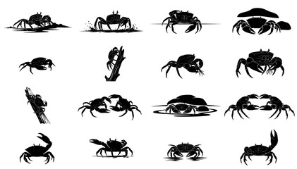 the littoral dance a graphic compendium of crustacean forms and coastal encounters set, isolated on transparent background