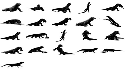 the dragons shadow a visual chronicle of prehistoric might and predatory grace set, isolated on transparent background