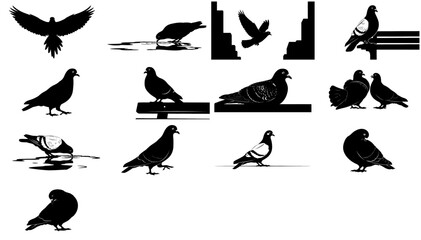 the citys familiar shadow a graphic vocabulary of everyday pigeon behavior set, isolated on transparent background