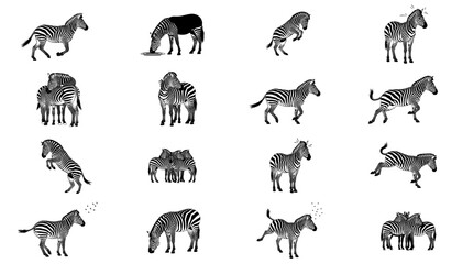 the savannahs barcode a graphic lexicon of zebra life and social dynamics set, isolated on transparent background