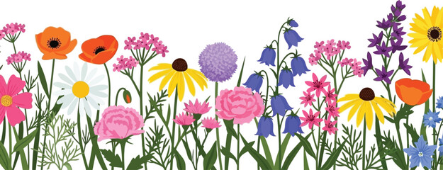 Colorful wildflower meadow illustration with poppies daisies and other flowers