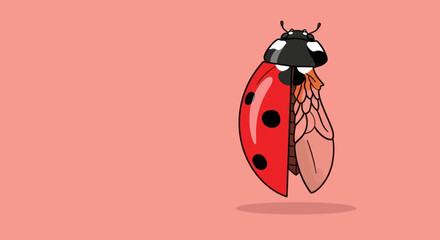 Ladybug revealing its delicate flight wing on a pink background.