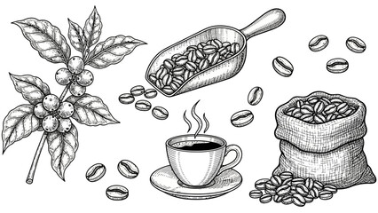  Line Art Coffee Tools, Cups, Beans, Barista Equipment Vector Collection`