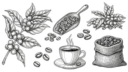 hand drawn vector illustration of fresh vegetables