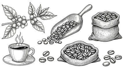 set of hand drawn illustrations of food