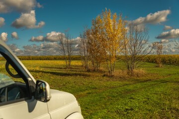 a light-colored car in a clearing near yellowed autumn vineyards on a sunny day in late October © Alexei Merinov