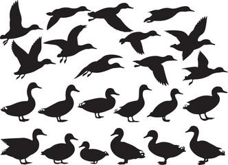 Collection of black silhouette ducks in various poses against white background