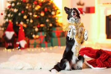 Cute dog in Santa hat with shiny tinsel in room decorated for Christmas, space for text