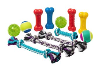 Meticulously arranged collection of diverse, brightly colored dog toys—rubber bones, spiky balls, and braided rope—on an ultra-transparent background. Concept for pet supply catalog