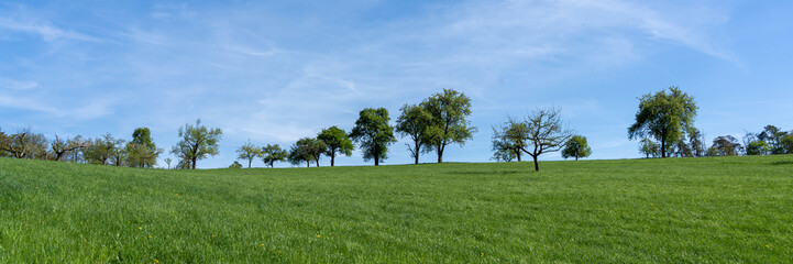 fruit trees