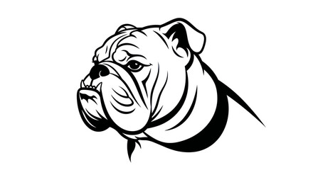 Bold bulldog head vector illustration isolated on white background