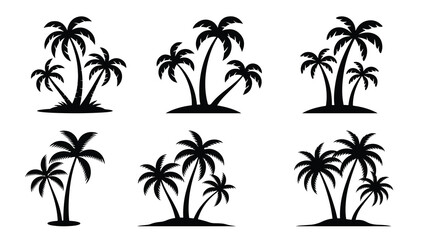 tropical coconut, palm tree silhouette © Graphix Hub