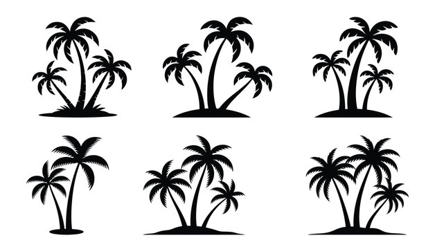 tropical coconut, palm tree silhouette