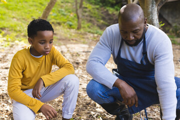 African American father and son crouching and examining soil wood chips under tree trunk in apron