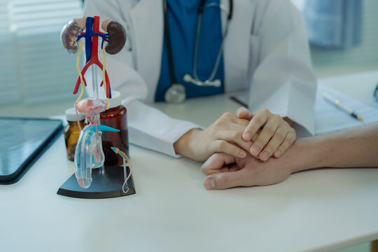 Asian female doctor discusses a model of the male urinary tract and conditions such as enlarged prostate, prostatitis, and cystitis.