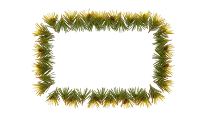 Abstract frame of grass blades on black background for text or image