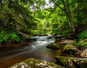 Long exposure shot of a river flowing through a lush forest
