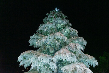 A festive Christmas tree display featuring sparkling ornaments, twinkling lights, and seasonal decorations. The tree is adorned with baubles, ribbons, garlands, and a bright star on top, creating a wa