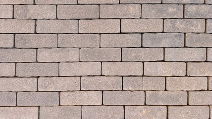 brick wall background. Interlocking concrete pavers forming a clean, geometric walkway surface. Gray stone bricks arranged in a repeating, structured pattern.