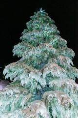 A festive Christmas tree display featuring sparkling ornaments, twinkling lights, and seasonal decorations. The tree is adorned with baubles, ribbons, garlands, and a bright star on top, creating a wa
