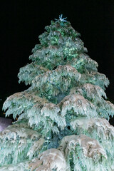 A festive Christmas tree display featuring sparkling ornaments, twinkling lights, and seasonal decorations. The tree is adorned with baubles, ribbons, garlands, and a bright star on top, creating a wa